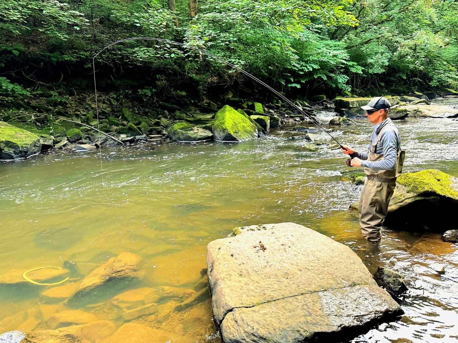 Person fishing in a stream